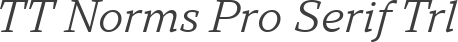 TT Norms Pro Serif Trl