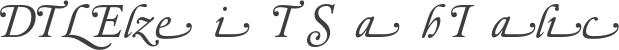 DTLElzevirT Swash Italic