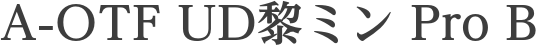 A-OTF UD黎ミン Pro B