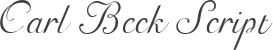 Carl Beck Script