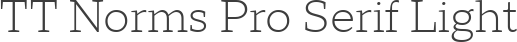 TT Norms Pro Serif Light