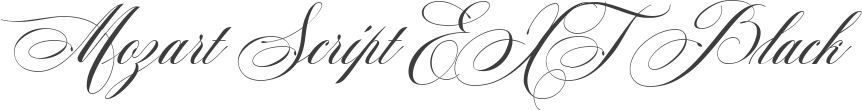 Mozart Script EXT Black