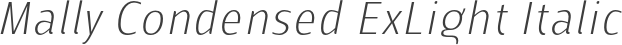 Mally Condensed ExLight Italic