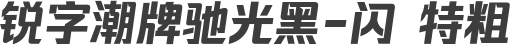 锐字潮牌驰光黑-闪 特粗