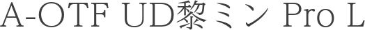 A-OTF UD黎ミン Pro L