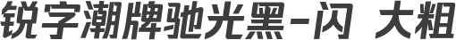 锐字潮牌驰光黑-闪 大粗