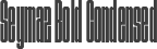 Seymaz Bold Condensed