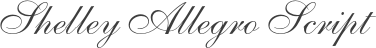 Shelley Allegro Script