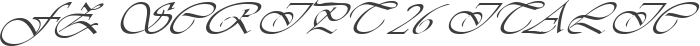 FZ SCRIPT 26 ITALIC