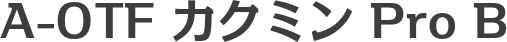 A-OTF カクミン Pro B