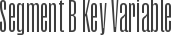 Segment B Key Variable