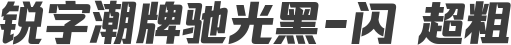 锐字潮牌驰光黑-闪 超粗