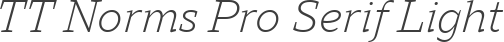 TT Norms Pro Serif Light