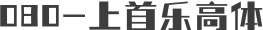 080-上首乐高体