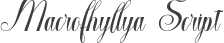 Macrofhyllya Script