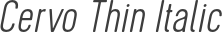 Cervo Thin Italic